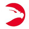 headlogo